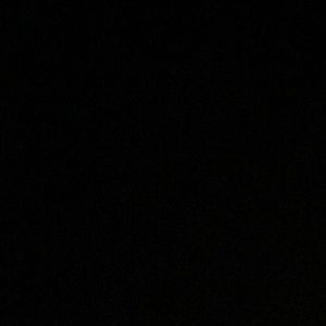 Meet your Posher, Ava